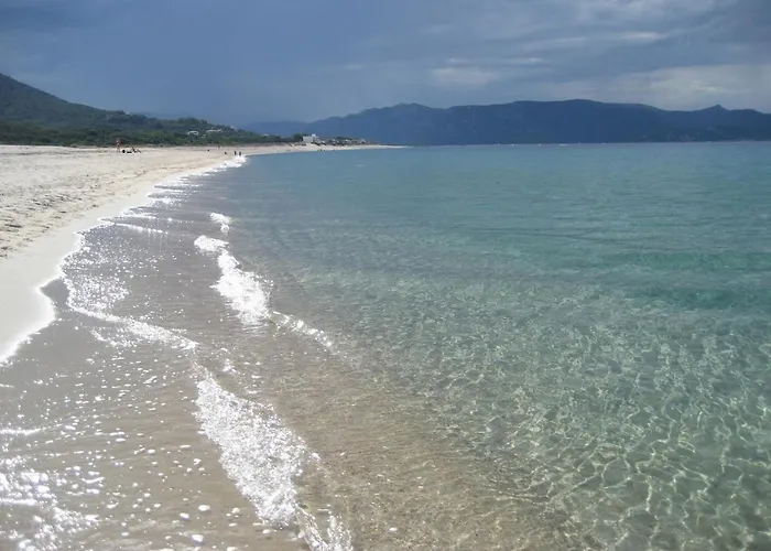 Apartment Merveilleux, Sur La Et Acces Direct A La Olmeto (Corsica)